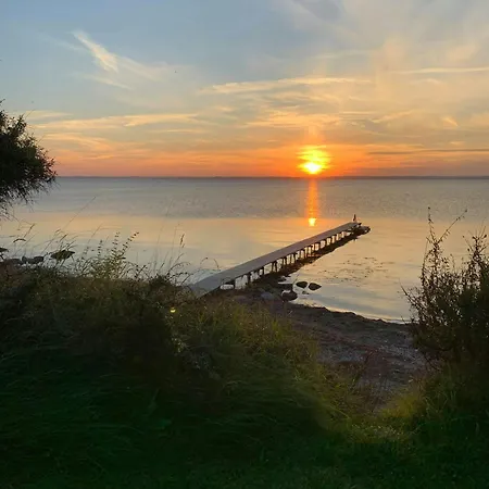 Nature Plot With Stream By Lohals Beach